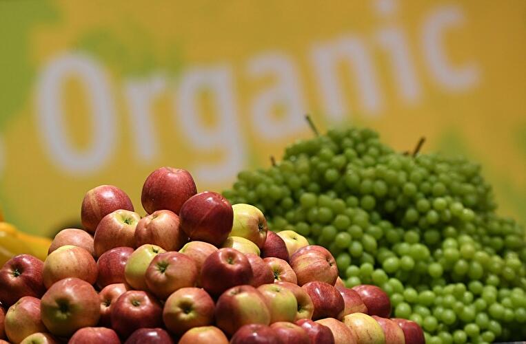 Fruit Logistica 2017