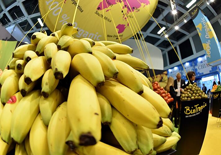 Fruit Logistica 2017