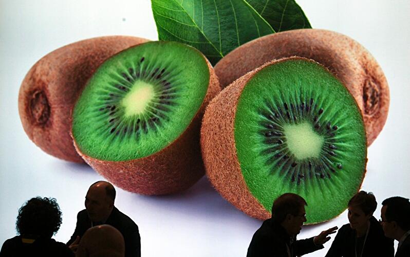 Fruit Logistica 2017