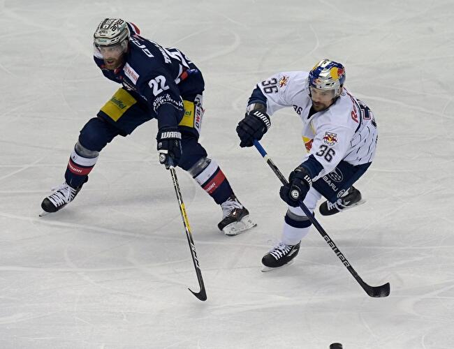 Eisbären - EHC München