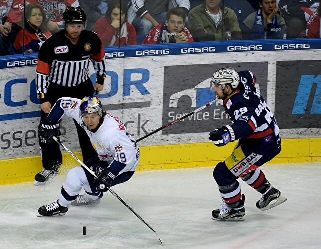 Eisbären - EHC München