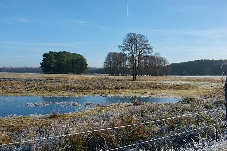Wildpark Schorfheide