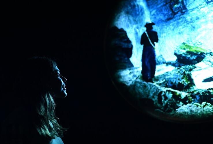 The Gold Projections: Somnium
