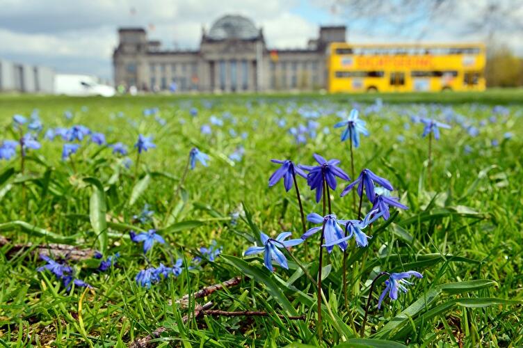 Frühling in Berlin