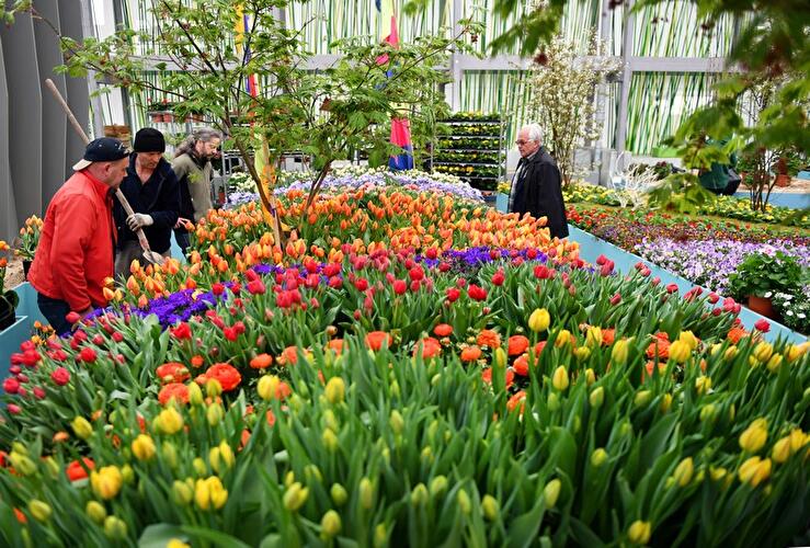 Blumenhalle auf dem IGA-Gelände
