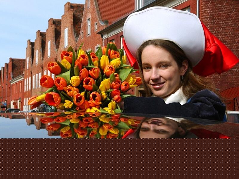 Tulpenfest in Potsdam