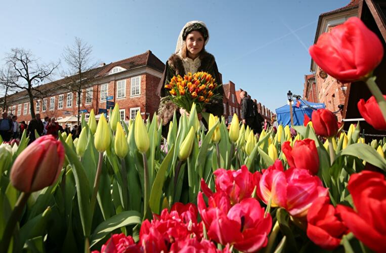 Tulpenfest in Potsdam