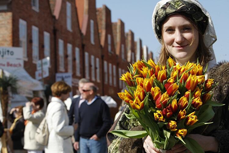 Tulpenfest in Potsdam