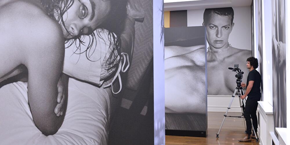 Testino, Newton und Pigozzi