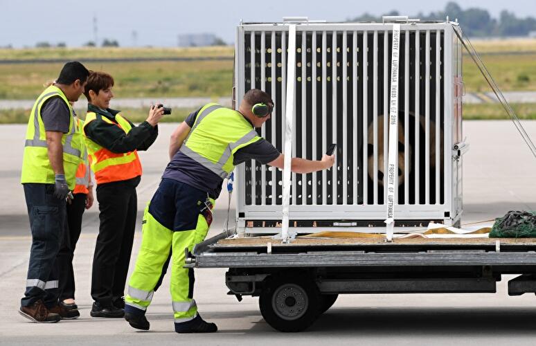 «Meng Meng» und «Jiao Qing» landen in Berlin
