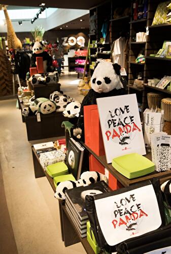 Vorbereitungen im Panda-Gehege