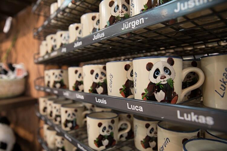 Vorbereitungen im Panda-Gehege