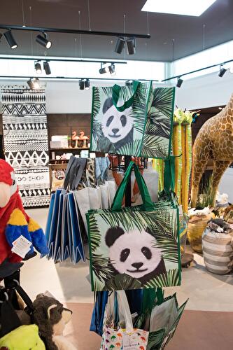 Vorbereitungen im Panda-Gehege