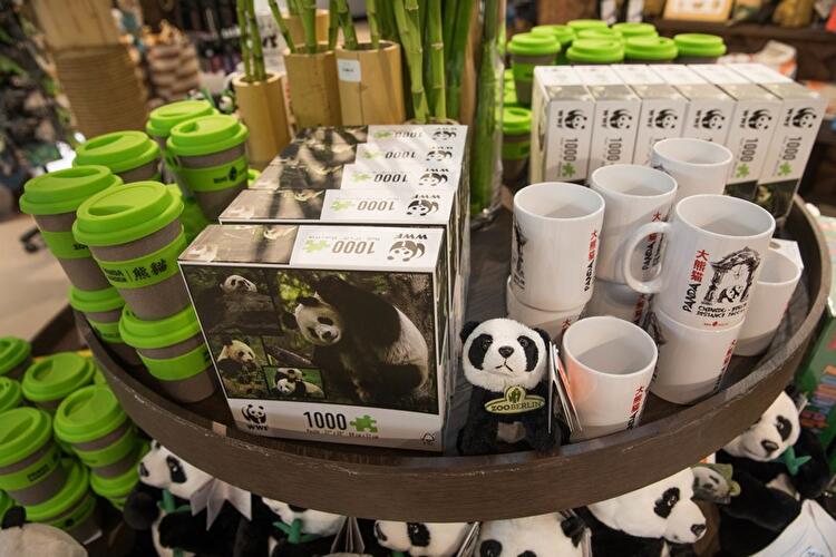 Vorbereitungen im Panda-Gehege