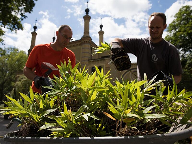 Vorbereitungen im Panda-Gehege