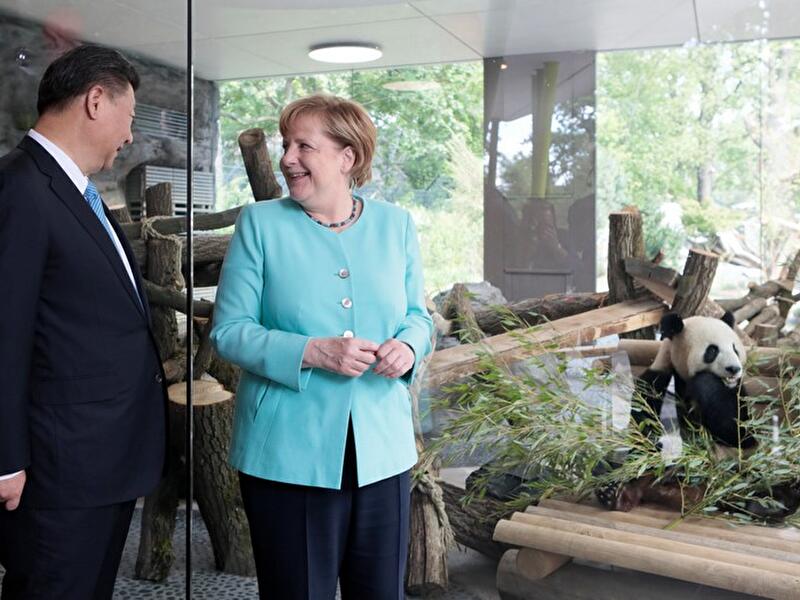 Eröffnung der Panda-Anlage im Zoo