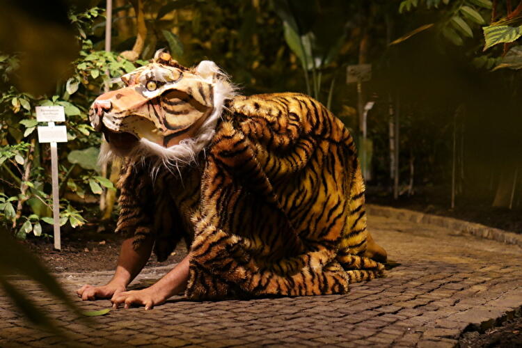 Das Dschungelbuch - Botanischer Garten Berlin
