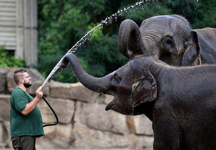 Sommer im Tierpark