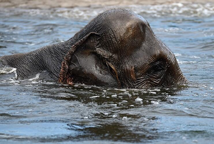 Sommer im Tierpark