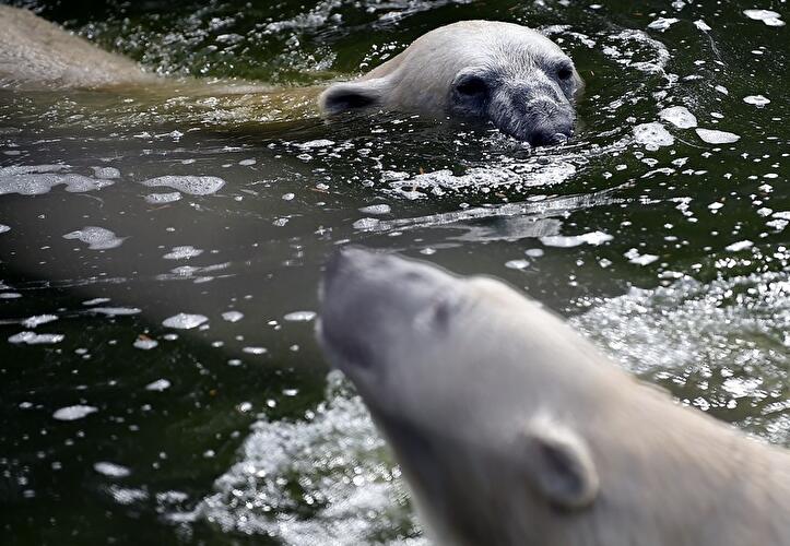 Sommer im Tierpark