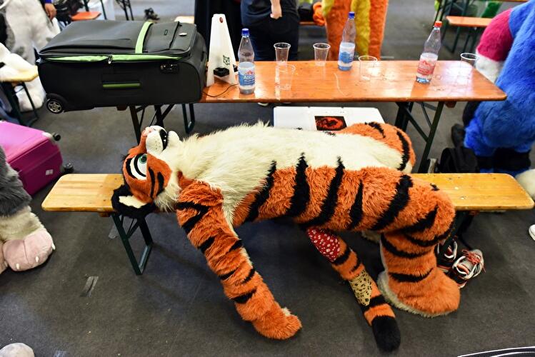 Eurofurence
