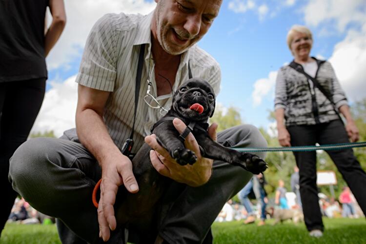 8. Internationales Mopstreffen