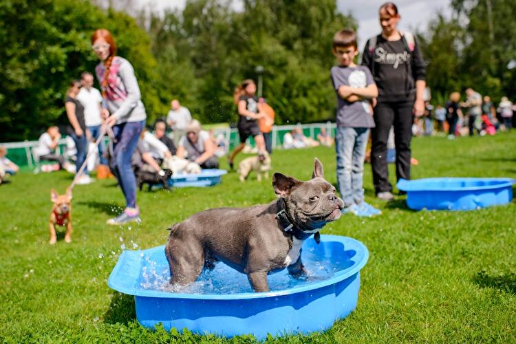 8. Internationales Mopstreffen