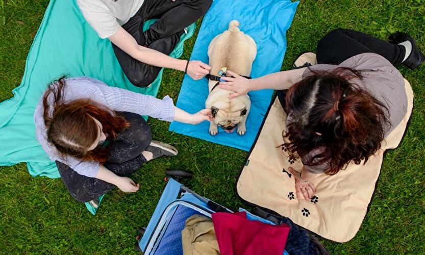 8. Internationales Mopstreffen