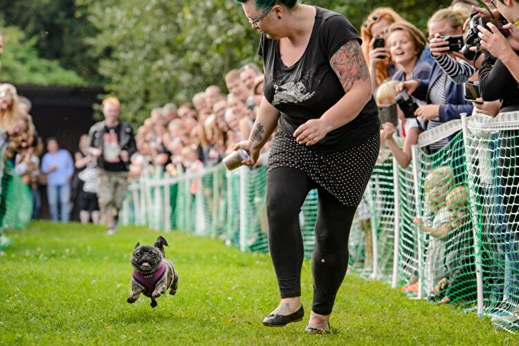 8. Internationales Mopstreffen