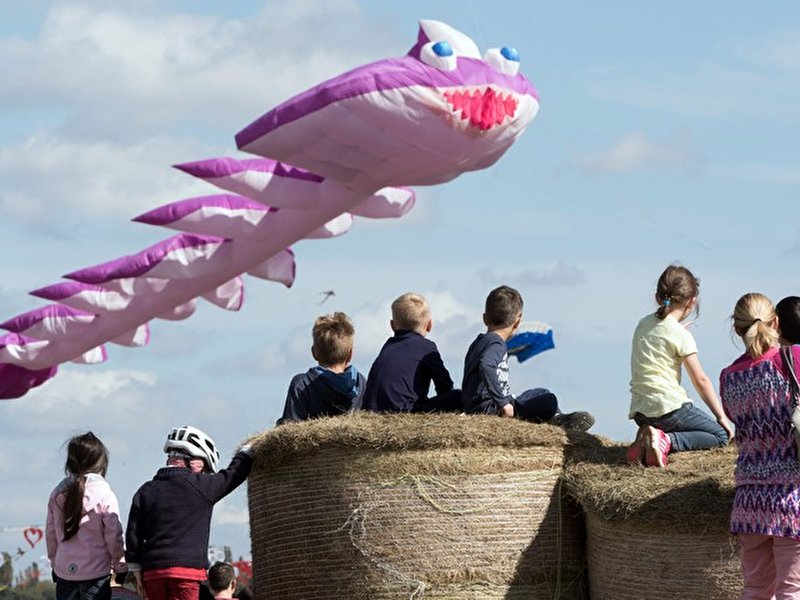 Festival der Riesendrachen 2017