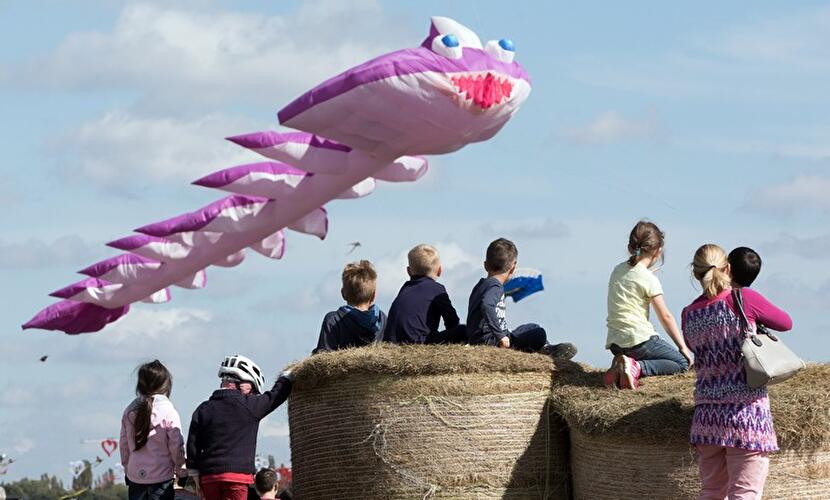 Festival der Riesendrachen 2017