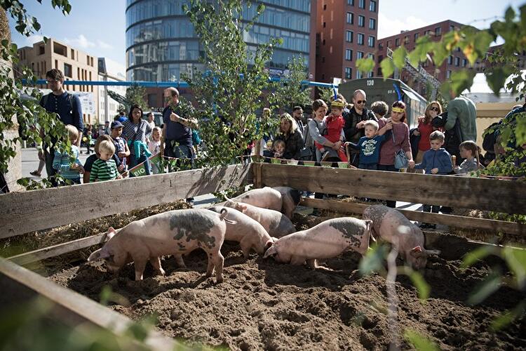 Weltkindertagsfest 2017