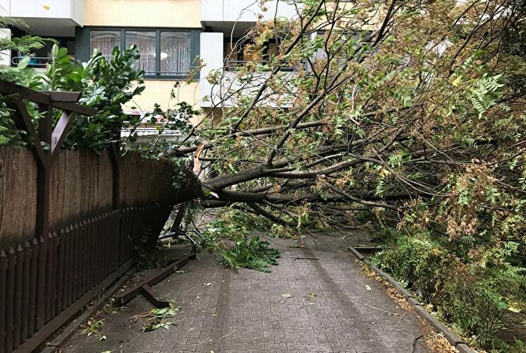 Wilhelmstraße - Sturmtief Xavier in Berlin