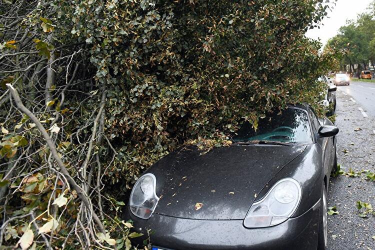 Sturmtief Xavier in Berlin