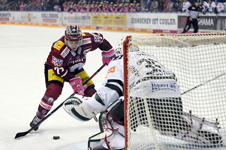 Eisbären Berlin - Augsburger Panther