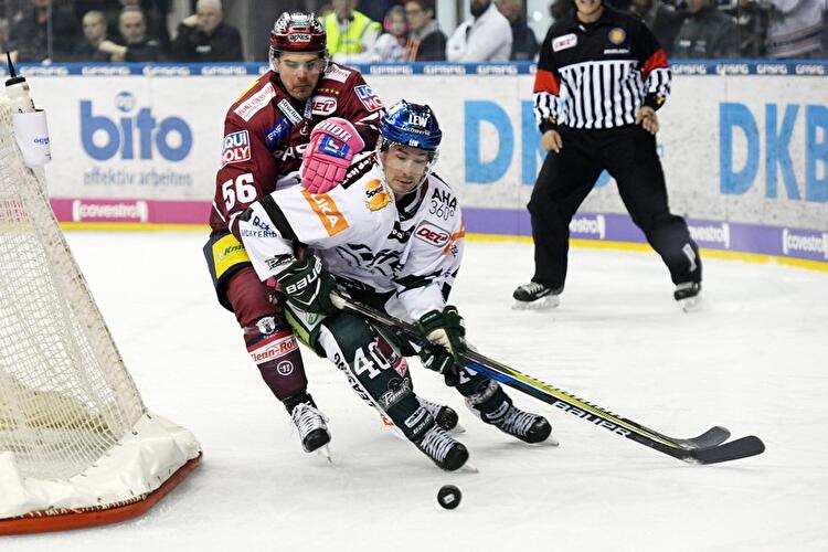 Eisbären Berlin - Augsburger Panther