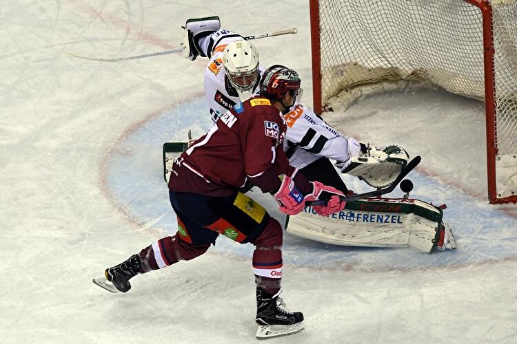 Eisbären Berlin - Augsburger Panther