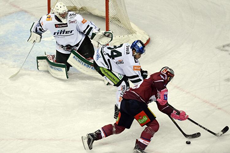 Eisbären Berlin - Augsburger Panther