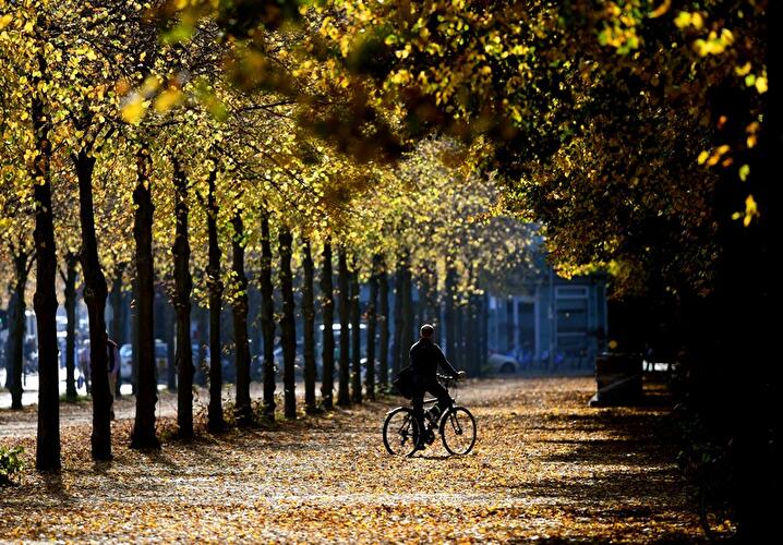 Herbst im Tiergarten