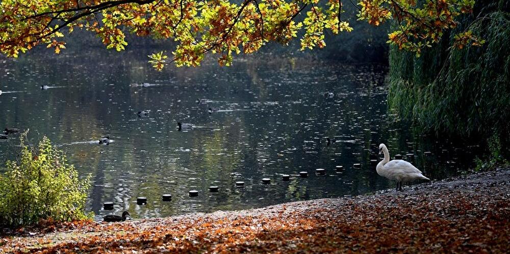 Herbst in Berlin 2017