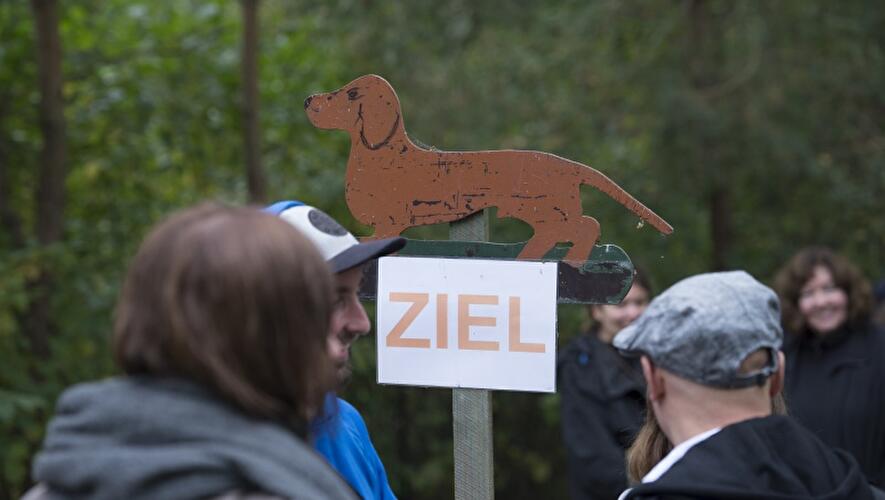 Dackeltreffen 2017