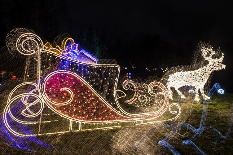 Christmas Garden 2017