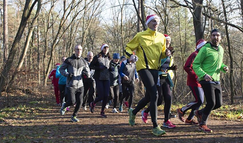 Gänsebraten-Verdauungslaufen im Grunewald 2017