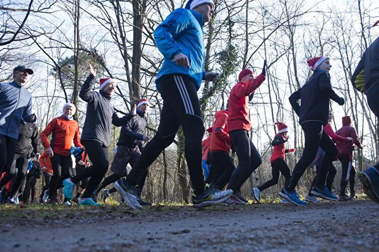 Gänsebraten-Verdauungslaufen im Grunewald 2017