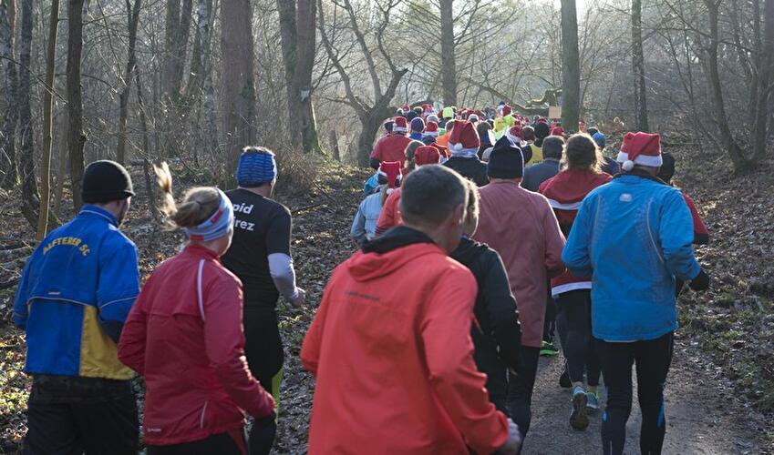 Gänsebraten-Verdauungslaufen im Grunewald 2017