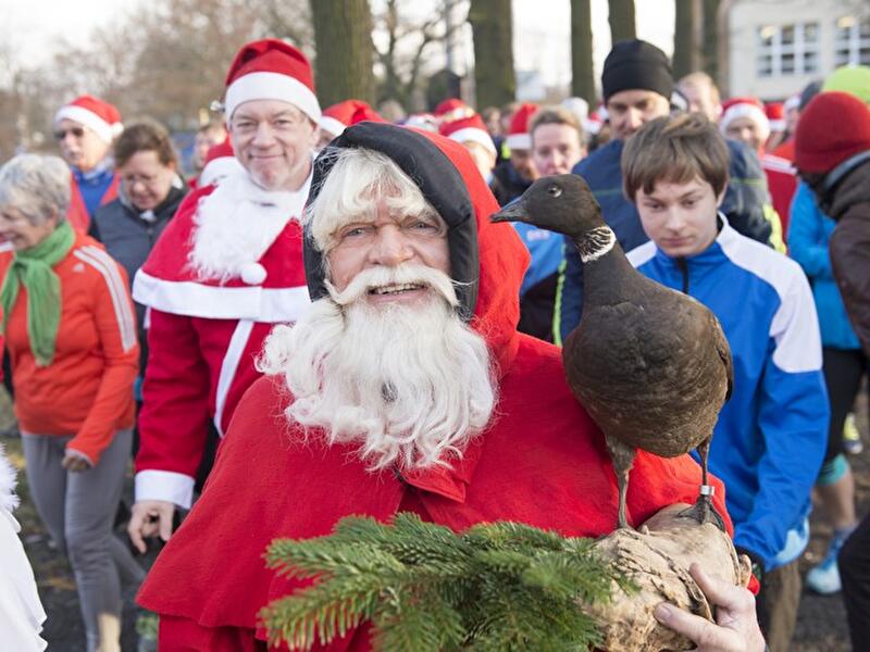 Gänsebraten-Verdauungslaufen im Grunewald 2017
