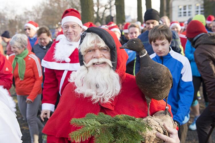 Gänsebraten-Verdauungslaufen im Grunewald 2017