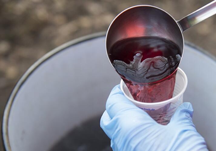 Gänsebraten-Verdauungslaufen im Grunewald 2017