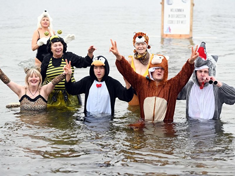 Winterschwimmen der Berliner Seehunde 2018