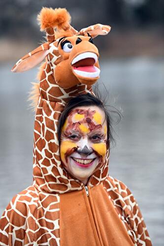 Winterschwimmen der Berliner Seehunde 2018